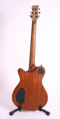 Pantherra Pro