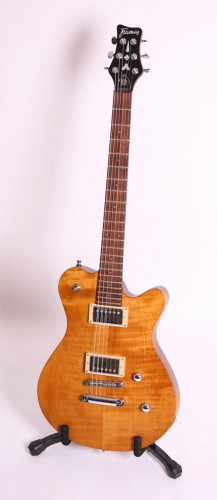 Pantherra Pro